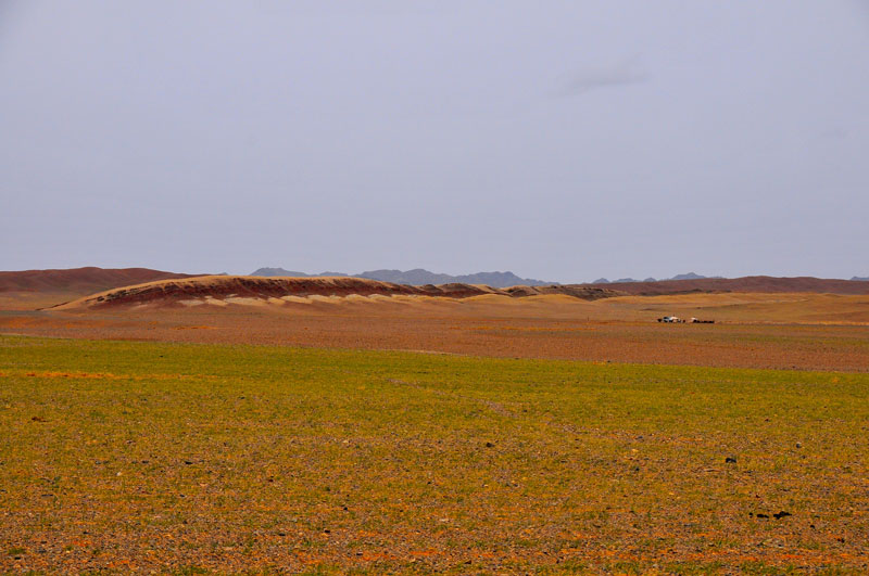 Mongolie